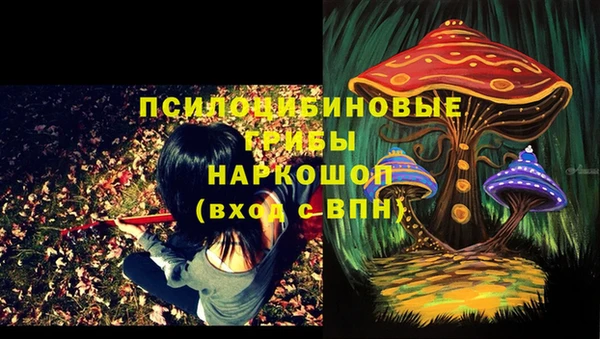 каннабис Михайловка
