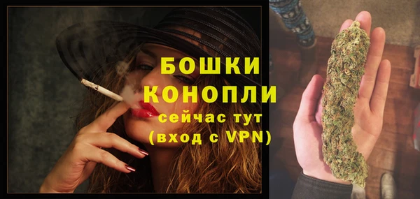ПСИЛОЦИБИНОВЫЕ ГРИБЫ Медвежьегорск