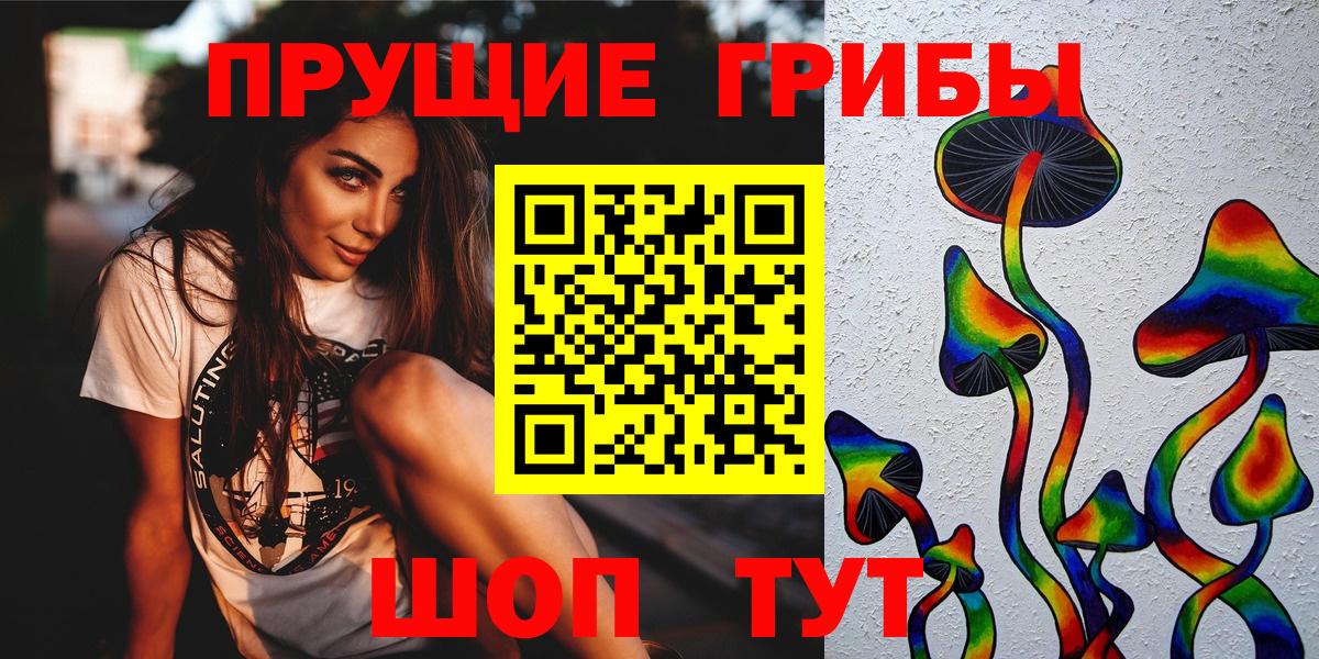 Галлюциногенные грибы Psilocybine cubensis Алушта