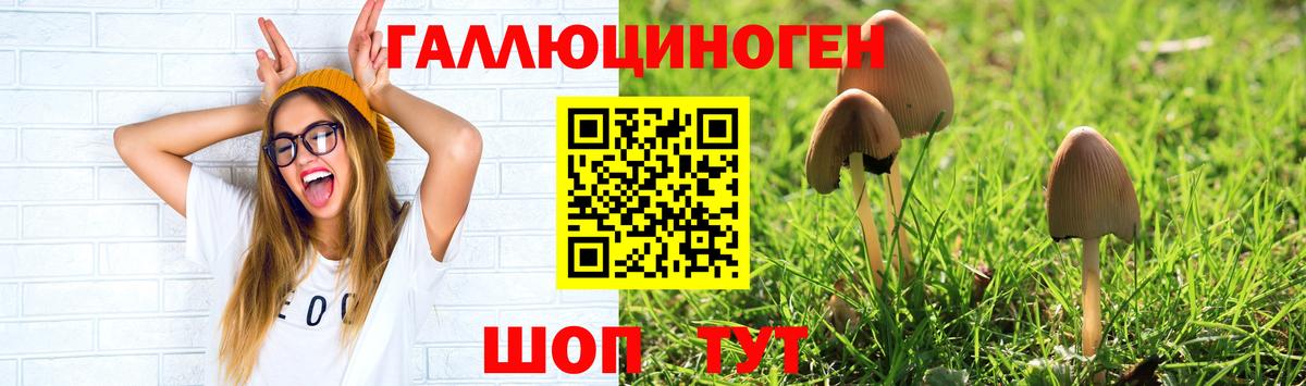 что такое наркотик  Вход с VPN  Алушта  Псилоцибиновые грибы ЛСД 